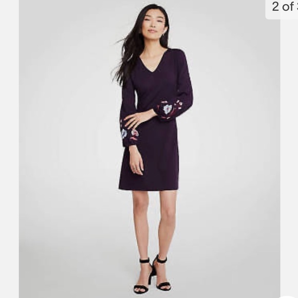 Ann Taylor Dresses & Skirts - Ann Taylor dress with embroidered sleeves